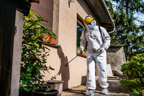 Professional Pest Control in Ephrata, WA